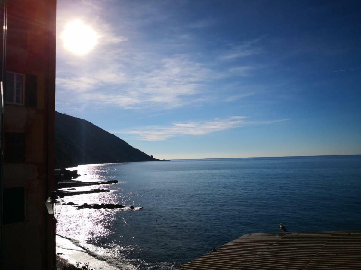 Le Finestre Sul Mare Lägenhet Camogli Exteriör bild